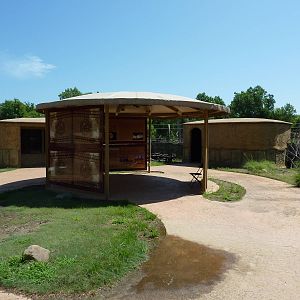 East African Savanna - Village