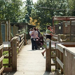 Reaseheath - 27/08/2010