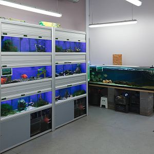 Aquarium at Reaseheath - 27/08/2010