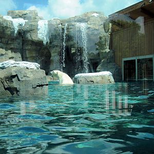 Polar Bear Passage-Polar Bear