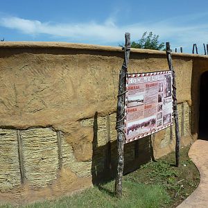 East African Savanna - African Village