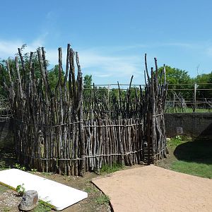 East African Savanna - African Village