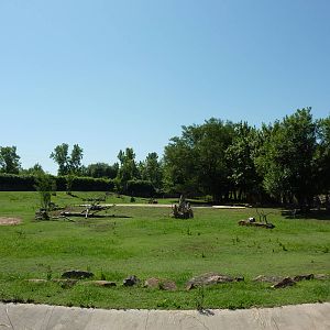 East African Savanna - Zebras, Marabou Storks, African Crowned Cranes, Ostr