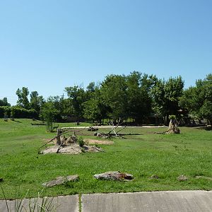 East African Savanna - Zebras, Marabou Storks, African Crowned Cranes, Ostr
