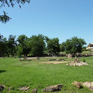 East African Savanna - Zebras, Marabou Storks, African Crowned Cranes, Ostr