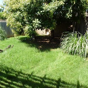 Guenther's Dik-Dik/Leopard Tortoise Exhibit