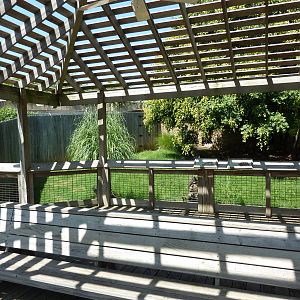 Guenther's Dik-Dik/Leopard Tortoise Exhibit - Viewing Area