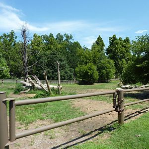 White Rhino Paddock