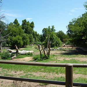 White Rhino Paddock