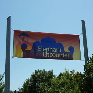 Elephant Encounter - Sign