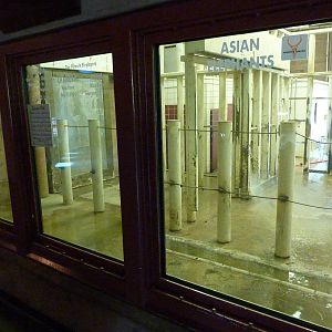 Elephant Encounter - Indoor Viewing Area
