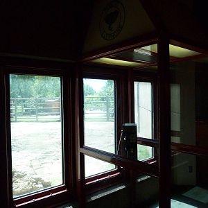 Elephant Encounter -Telephone Booth Viewing