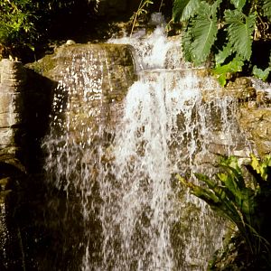 Waterfall - 1981