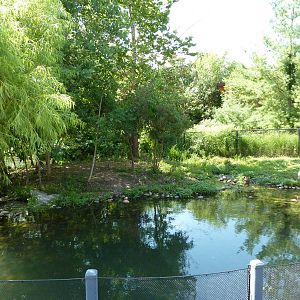Trumpeter Swan Exhibit