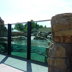 River Otter Exhibit