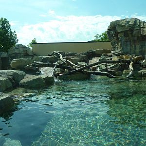 River Otter Exhibit