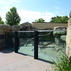 River Otter Exhibit