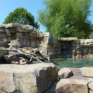 River Otter Exhibit