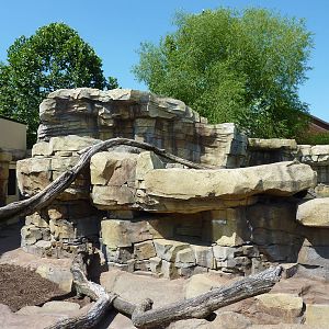 River Otter Exhibit
