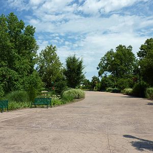 A Long Walk To Africa!