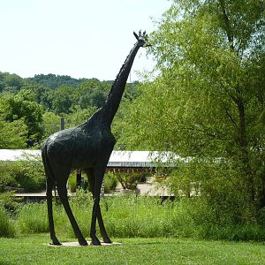 Giraffe Statue