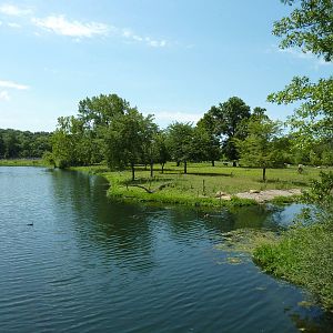 African Savanna Overview