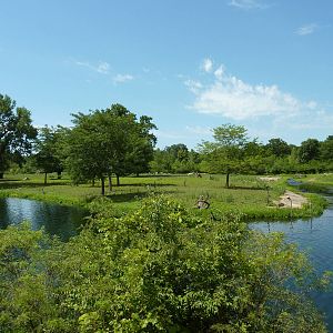 African Savanna Overview
