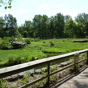 Multi-Acre Guinea Baboon Exhibit
