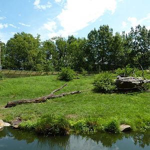 Multi-Acre Guinea Baboon Exhibit