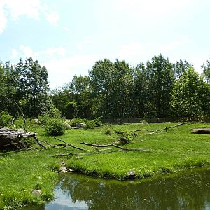 Multi-Acre Guinea Baboon Exhibit