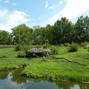 Multi-Acre Guinea Baboon Exhibit