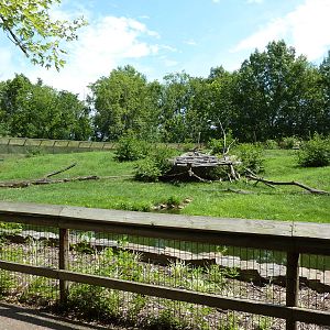 Multi-Acre Guinea Baboon Exhibit