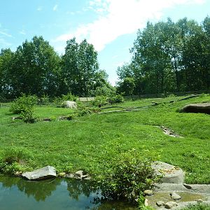 Multi-Acre Guinea Baboon Exhibit