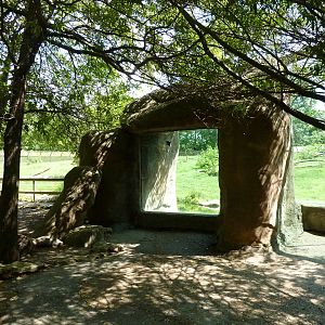 Multi-Acre Guinea Baboon Exhibit