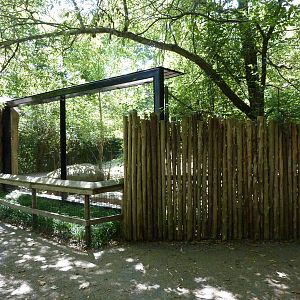 African Wild Dog Exhibit