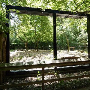 African Wild Dog Exhibit