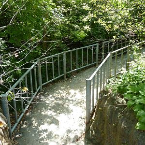 Nile Hippo Exhibit -Hippo Walkway To Barn