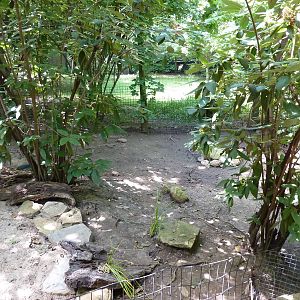 Leopard Tortoise Exhibit