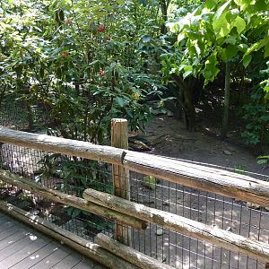 Leopard Tortoise Exhibit