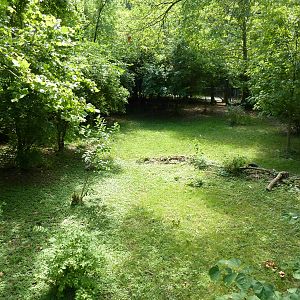 Kori Bustard Exhibit