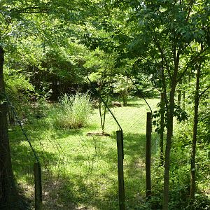 Kori Bustard Exhibit