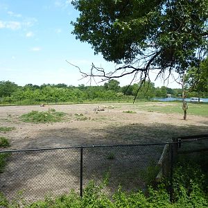 Multi-Acre African Savanna