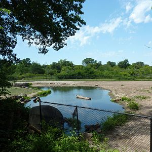 Multi-Acre African Savanna