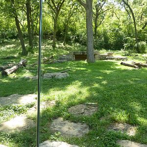 3-Acre Chimpanzee Exhibit