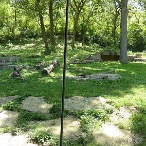 3-Acre Chimpanzee Exhibit