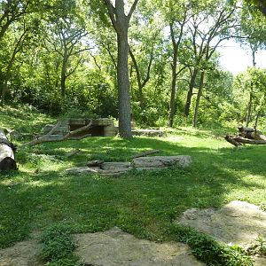 3-Acre Chimpanzee Exhibit