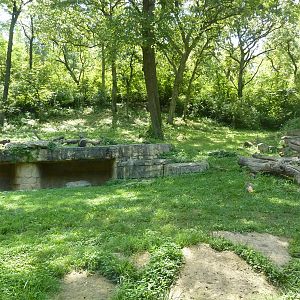 3-Acre Chimpanzee Exhibit