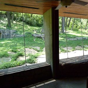 3-Acre Chimpanzee Exhibit