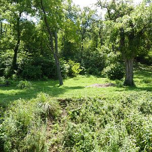 3-Acre Chimpanzee Exhibit