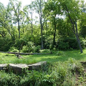 3-Acre Chimpanzee Exhibit